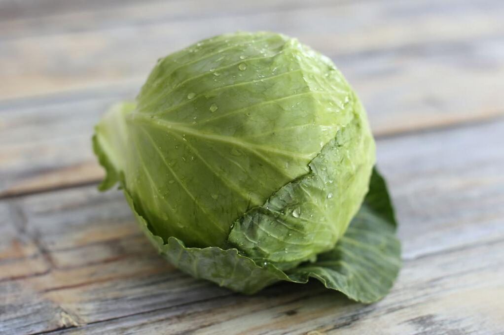 Cabbage